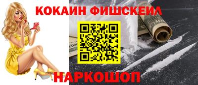 эйфоретик Кимры