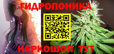 эйфоретик Кимры