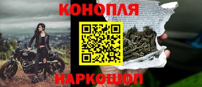 эйфоретик Кимры
