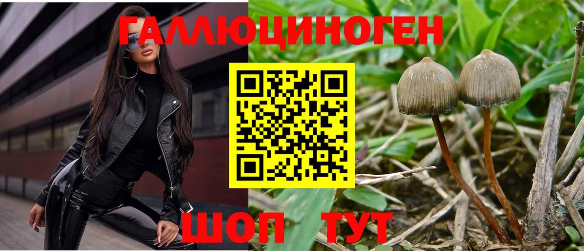 Псилоцибиновые грибы прущие грибы Арзамас