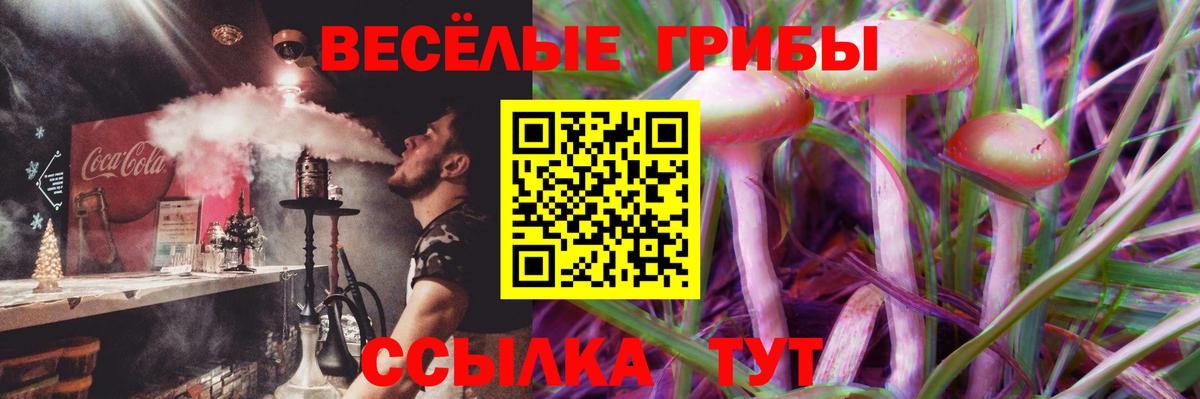 Галлюциногенные грибы Psilocybe  Галлюциногенные грибы мухоморы  Вход с VPN  Арзамас 